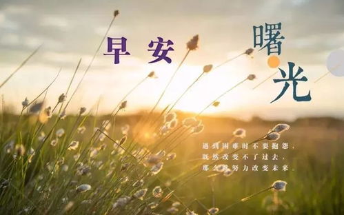 早安,句子,心語(yǔ),能量