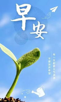 句子,朋友圈,能量,生活