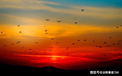 正能量情感勵志句子唯美,古風正能量唯美句子,單身正能量唯美句子