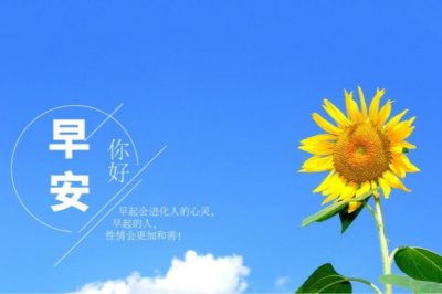 蒲公英,句子,能量,經典