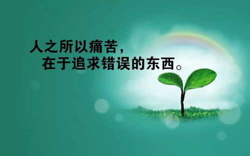 激勵(lì)人生的正能量句子,晚安激勵(lì)正能量的句子,2020激勵(lì)團(tuán)隊(duì)正能量的句子