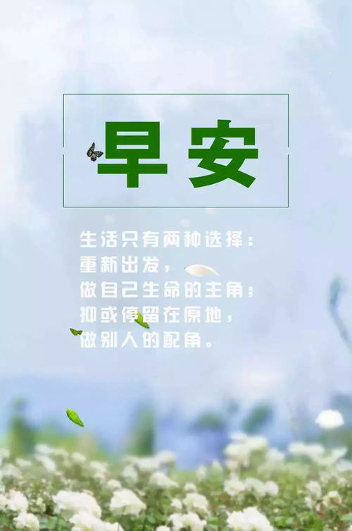 向善正能量句子