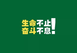 考研正能量的句子經(jīng)典語錄,考研正能量句子鼓勵(lì)考研,考研正能量句子簡(jiǎn)短