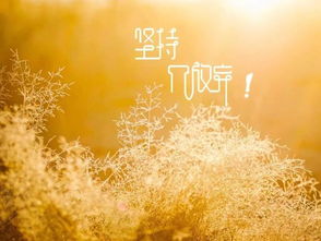 形容一個(gè)人陽(yáng)光正能量的句子,形容人積極陽(yáng)光正能量的句子,形容內(nèi)心陽(yáng)光充滿(mǎn)正能量的句子