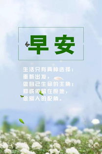 句子,勵志,能量,商場