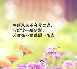 句子,能量,鼓勵(lì),老師