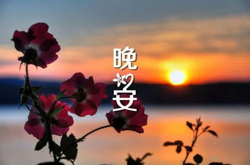正能量晚上好的句子簡短,朋友圈晚上好正能量的句子,晚上好勵志正能量句子