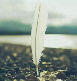 句子,能量