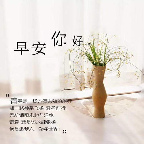 感恩的心句子正能量散文,護(hù)士感恩的心正能量句子,感恩的心簡短的句子
