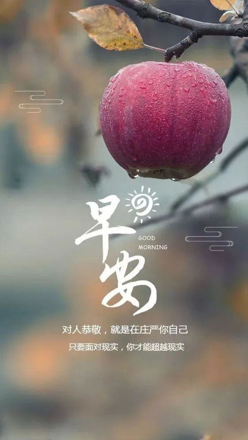 正能量的句子經(jīng)典語句生活要開心的短句,對生活正能量的句子經(jīng)典語句,志愿者正能量的句子經(jīng)典語句