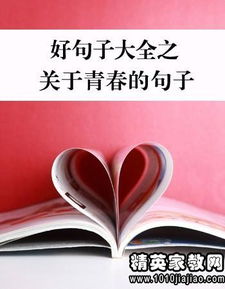 珍惜感情正能量句子,感情積極向上正能量的句子,對(duì)待感情正能量的句子