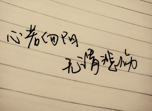 戒賭,句子,勵(lì)志,能量
