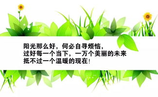 句子,能量,話語(yǔ),鼓勵(lì)