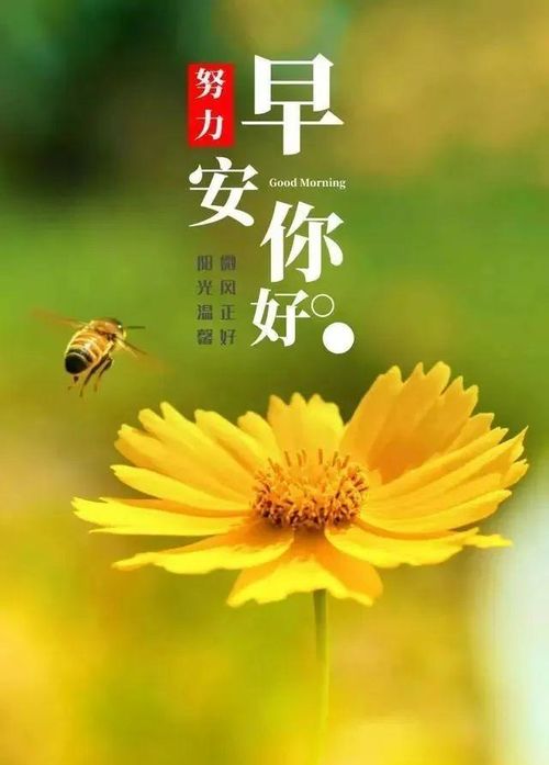 陽光心態(tài)正能量的句子簡(jiǎn)短