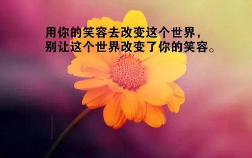 主持人朋友圈正能量句子,關(guān)于堅持的正能量句子,懂得感恩的正能量句子