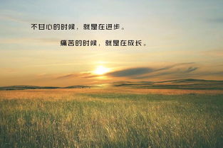 勵志學習正能量的句子簡短