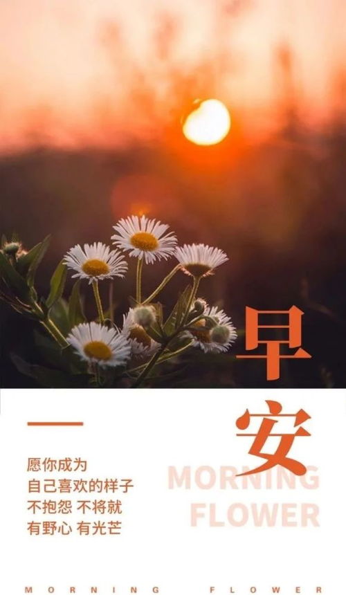 正能量暖心的句子說說心情