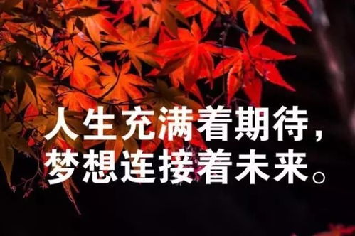 送給別人的正能量的句子
