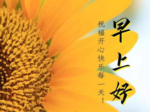 早安勵(lì)志正能量的句子,好心態(tài)早安正能量句子,早安語錄正能量的句子