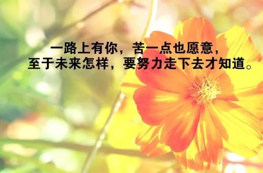 值班正能量的唯美句子,早安正能量唯美句子,古風正能量唯美句子