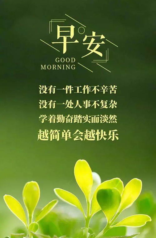 句子,勵志,早餐,能量