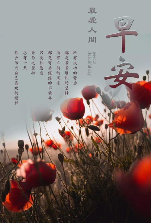 女人早安正能量簡(jiǎn)單一句話,2021早安正能量簡(jiǎn)單一句話,早安正能量簡(jiǎn)單一句話2021朋友圈