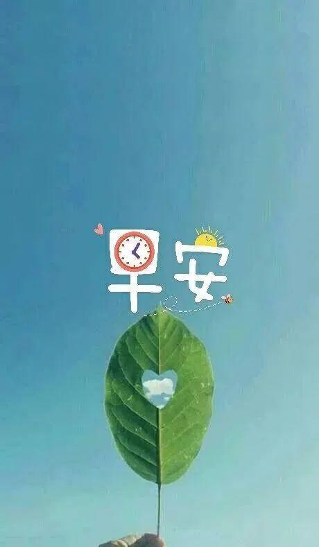 早上給客戶(hù)發(fā)的正能量的句子