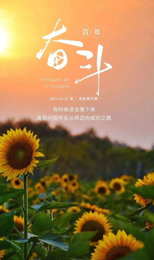 早上陽光的句子正能量