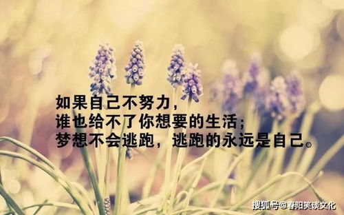 句子,非主流,能量,經(jīng)典