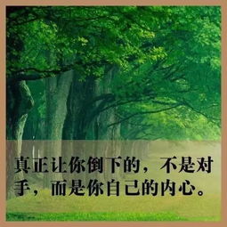做事業(yè)正能量的句子經(jīng)典語句,為事業(yè)奮斗的正能量句子,對(duì)事業(yè)充滿正能量的句子