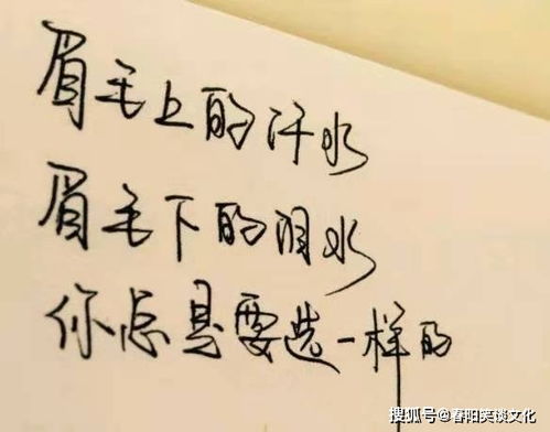自己的,短句,短語(yǔ),子說