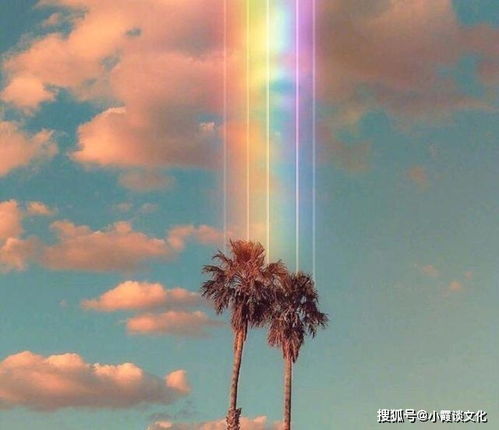 逆境霸氣正能量的句子,逆境重生的勵(lì)志句子,形容逆境重生的句子