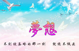 團(tuán)隊(duì)精神,句子,能量,夢想