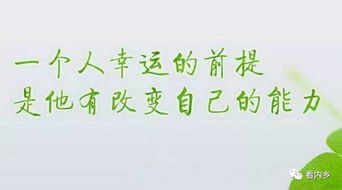 每天酒店正能量的句子