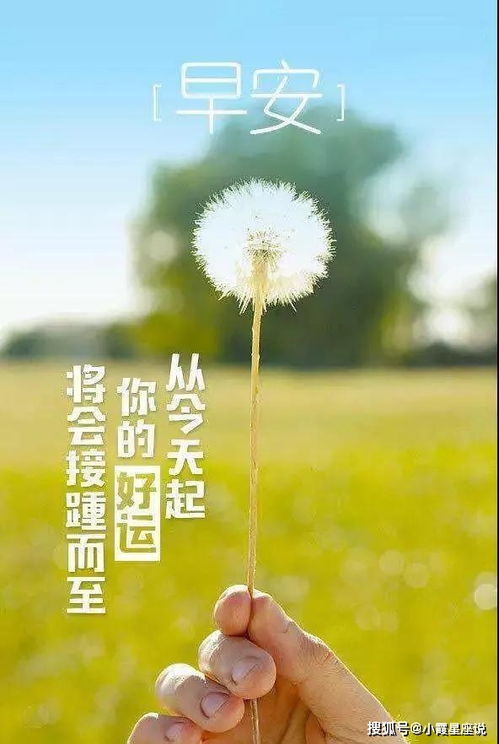 夸別人正能量的句子經(jīng)典語句,夸男人正能量的句子,夸女人正能量的句子