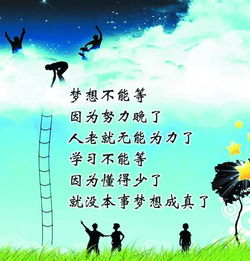 句子,能量,大愛