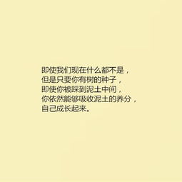 宣傳企業(yè)正能量的句子,宣傳國(guó)家正能量的句子,捐款宣傳正能量的句子