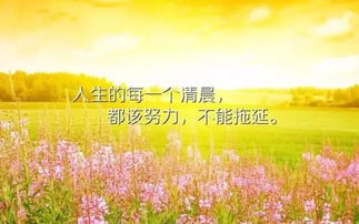 早安,語句,能量
