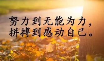 積極陽光正能量的勵志句子,陽光勵志正能量的句子發(fā)朋友圈,陽光勵志正能量的句子簡短