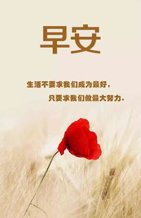 早上問候正能量句子在哪里找,早上問候正能量的句子,女人早上問候正能量句子