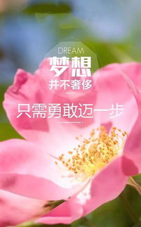 老師早安勵志正能量的句子,好心態(tài)早安正能量句子,早安語錄正能量的句子