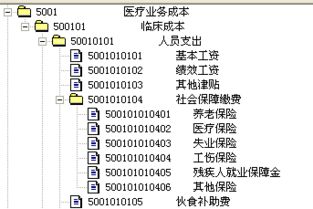 會(huì)計(jì)科目4-3-3-2-2