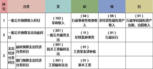 政府收支分類科目和會計科目關系,政府收支分類科目與會計科目區(qū)別,政府會計制度預算會計科目