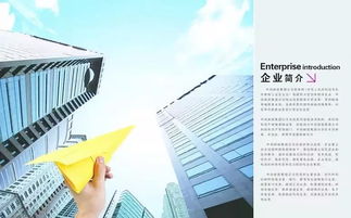加工貿(mào)易企業(yè)會計科目