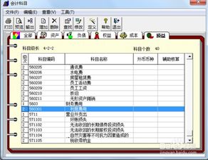 用友怎么增加會計科目明細(xì),用友u8增加會計科目,用友T3如何增加一級會計科目
