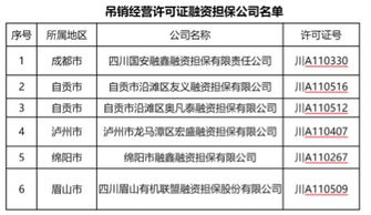 對外融資擔保費入什么會計科目