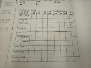 公證處使用什么會(huì)計(jì)科目