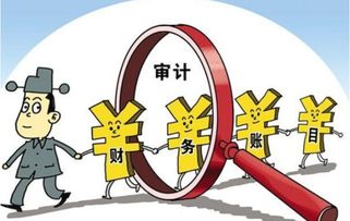 項目審計費會計科目