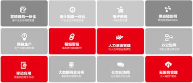 u8會(huì)計(jì)科目模糊查詢(xún)