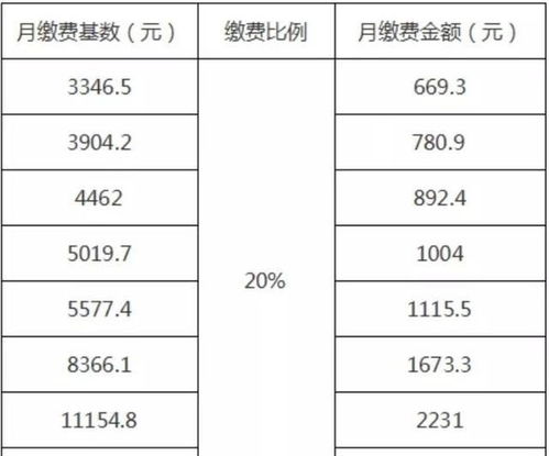 養(yǎng)老保險(xiǎn),會計(jì)科目